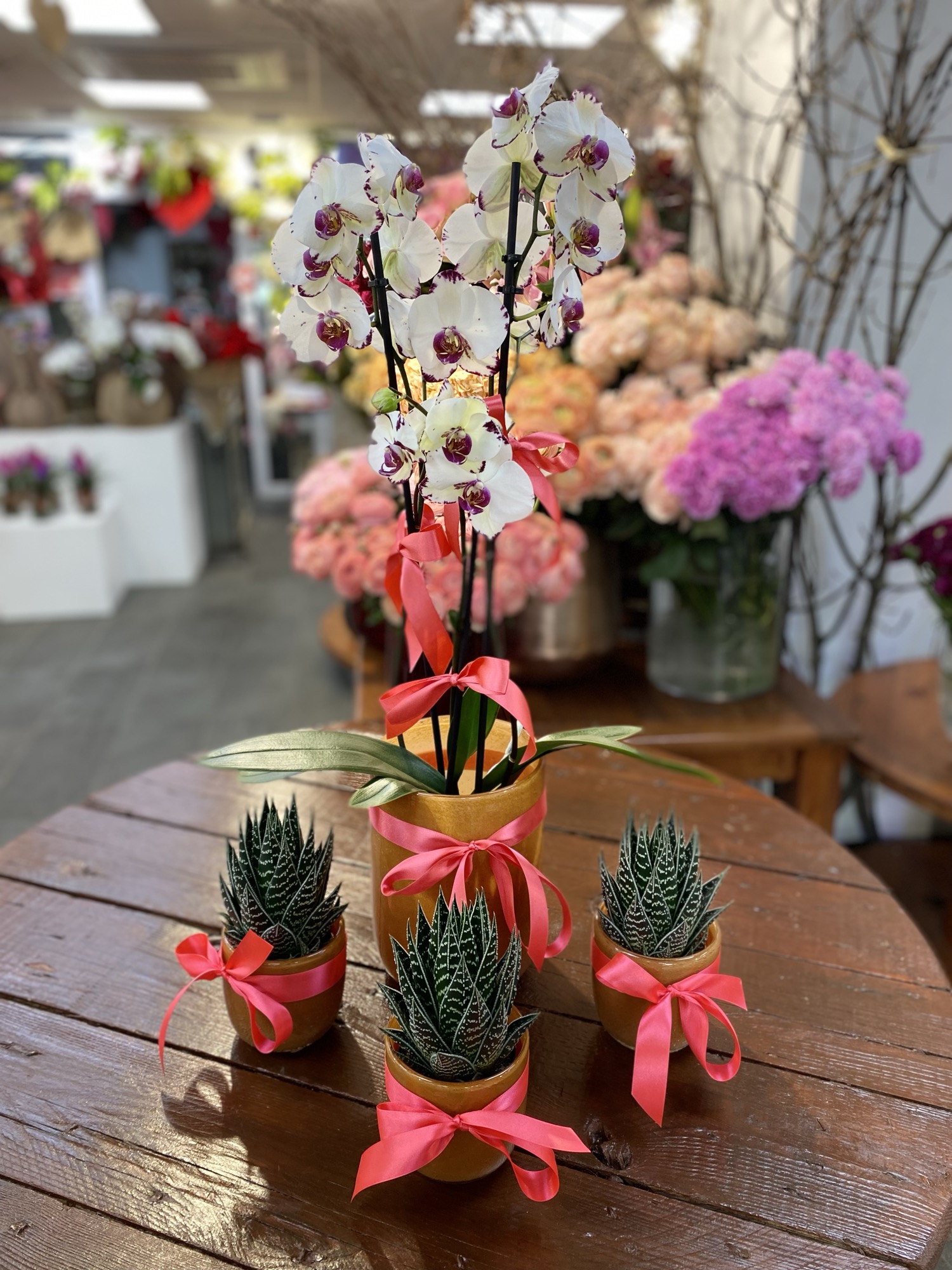 Bouquet de printemps colore